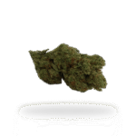 Zooty Fruity - AAA Greendoor