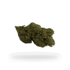 Zooty Fruity - AAA Greendoor