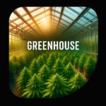 Greenhouse