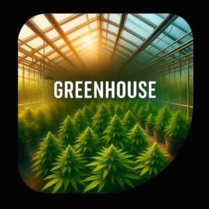Greenhouse