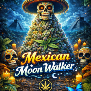 Mexican Moon Walker