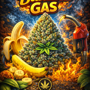 Banana Gas