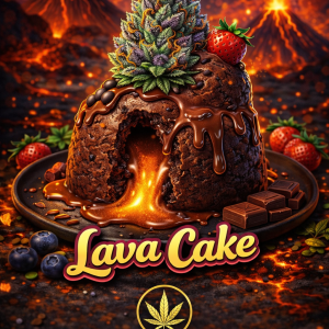 Lava Cake